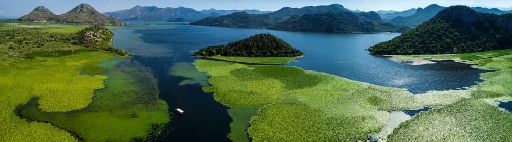 Lac Shkodra